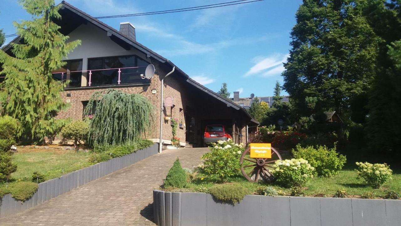 Ferienwohnung Virginija Ditscheid Extérieur photo