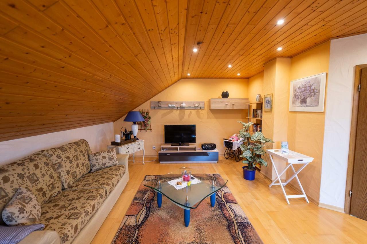 Ferienwohnung Virginija Ditscheid Extérieur photo